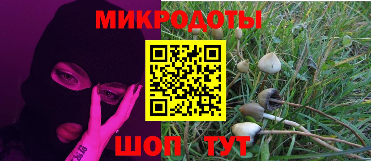 Галлюциногенные грибы Cubensis Югорск