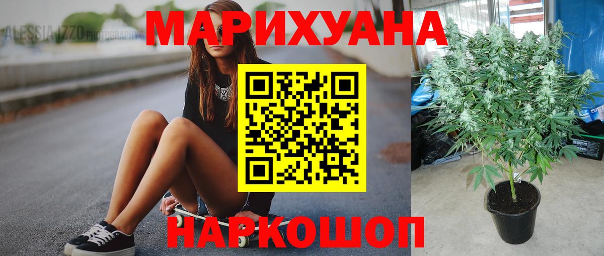 Канабис планчик Югорск